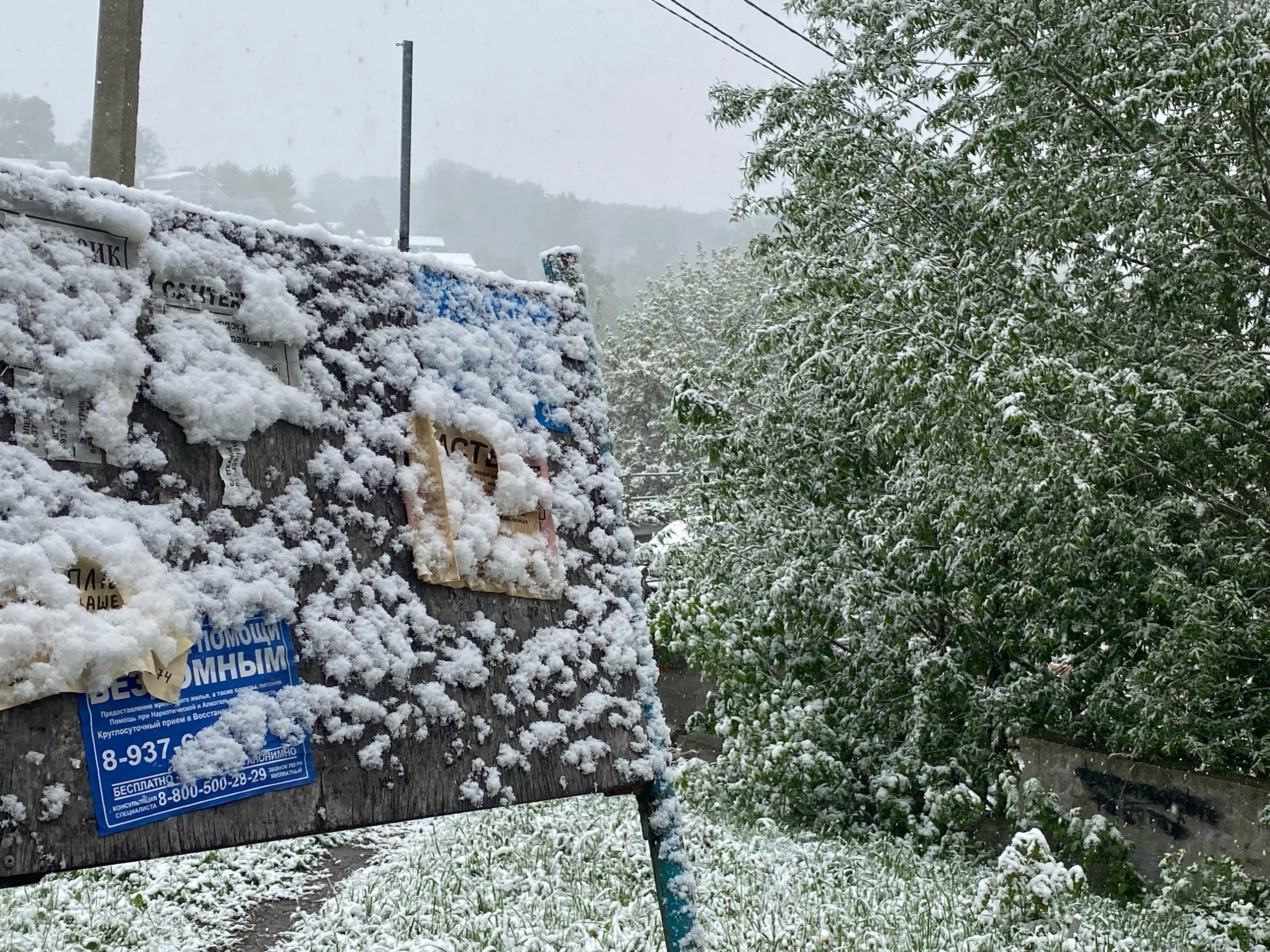 В начале осени начнется настоящая зима. Погода с 1 сентября принесет большой сюрприз